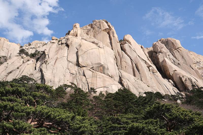 설악산 울산바위의 거대한 화강암 봉우리와 소나무